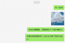雨山如何避免债务纠纷？专业追讨公司教您应对之策