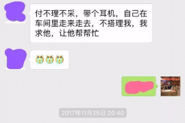 雨山为什么选择专业追讨公司来处理您的债务纠纷？